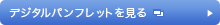 �f�W�^���p���t���b�g������