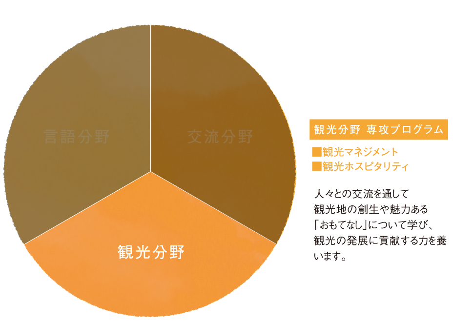 観光分野