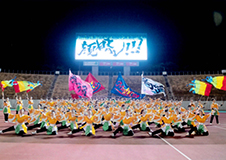よさこい探究会「鳴踊」