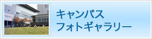 �L�����p�X�t�H�g�M�������[