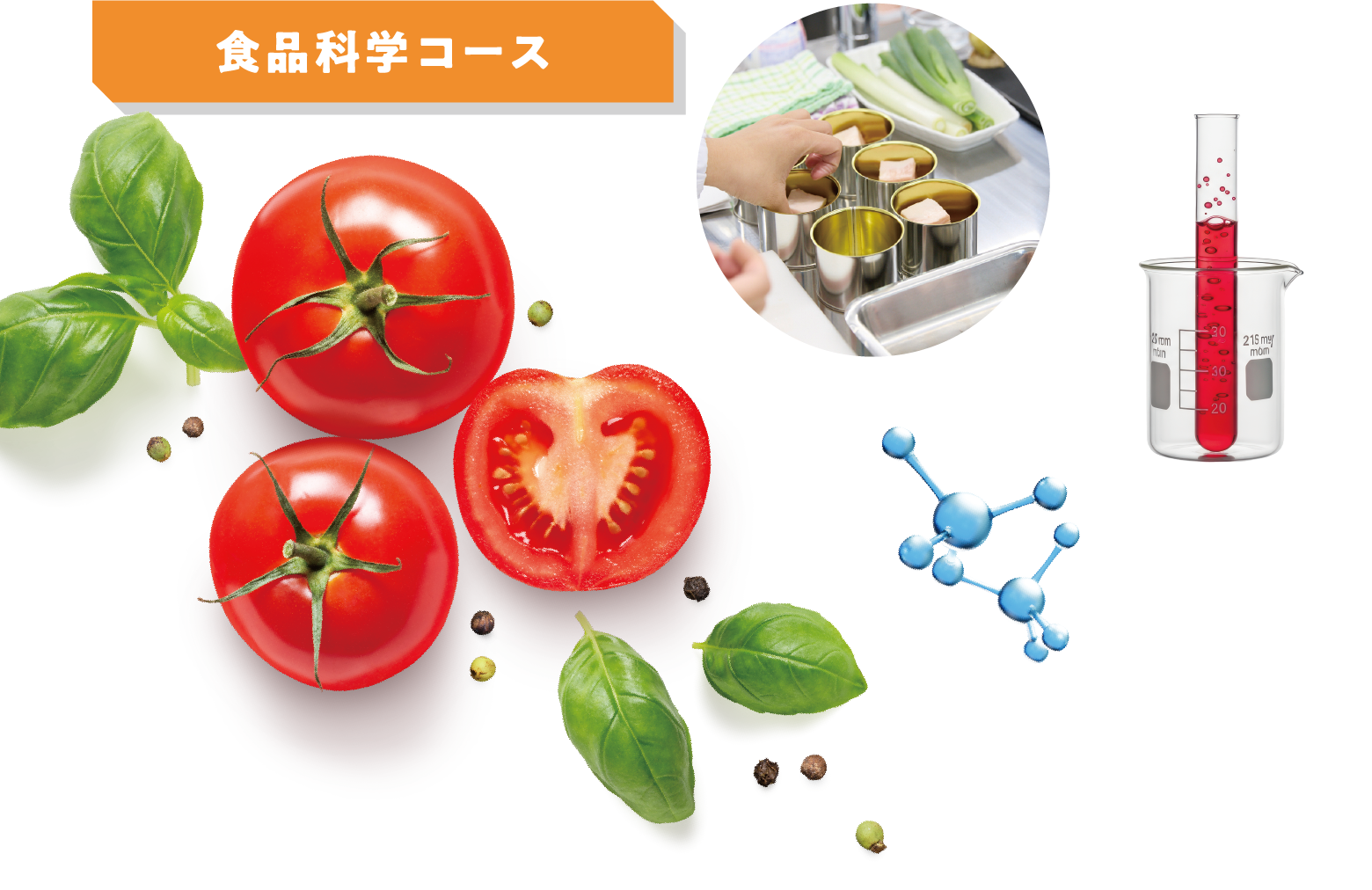 食品科学コース