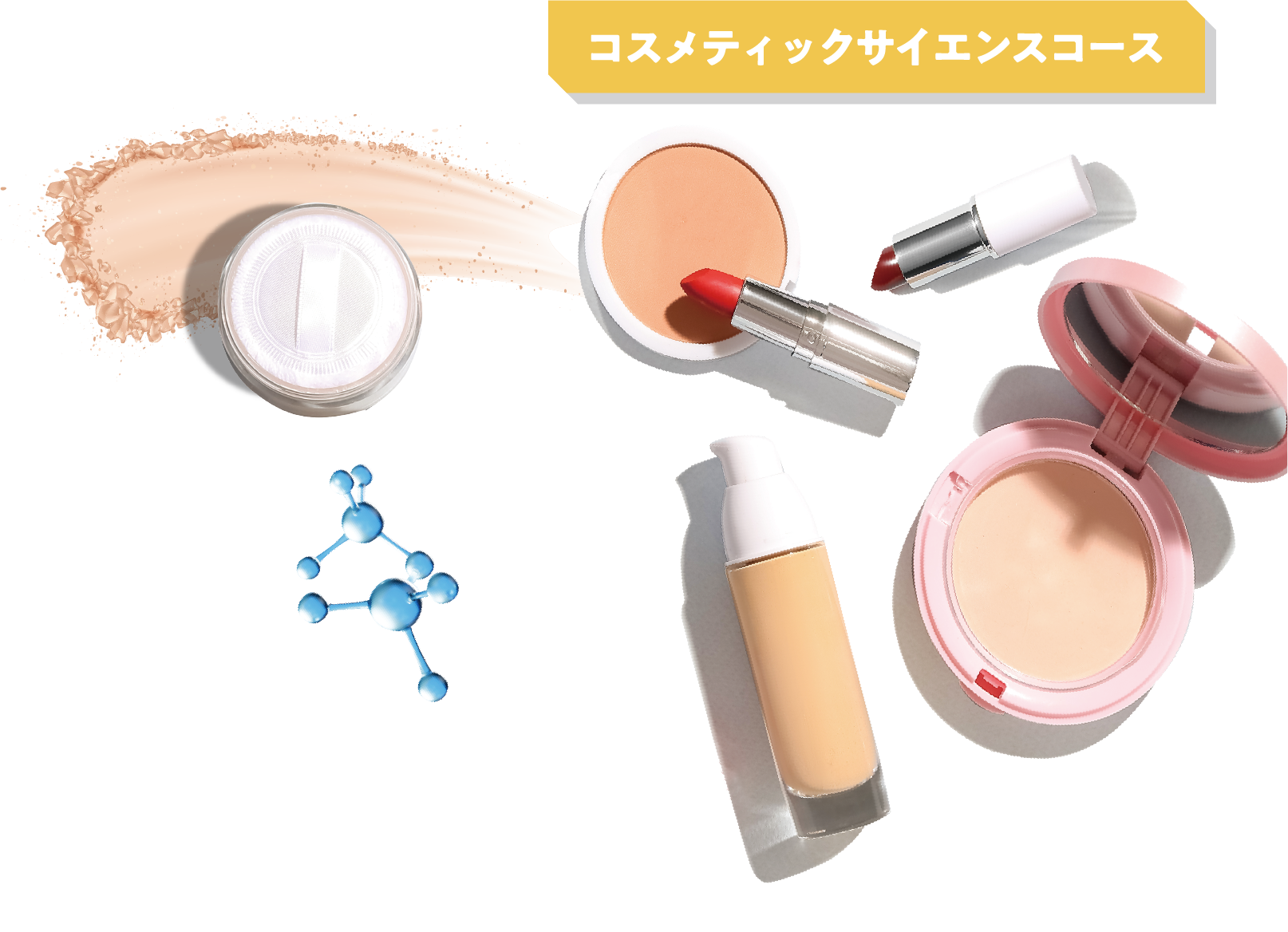 コスメティックサイエンスコース