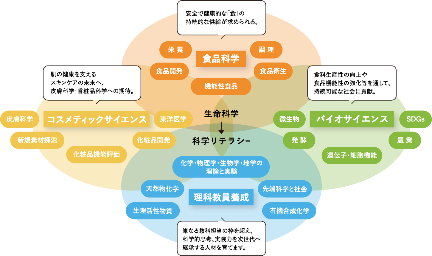 学びの体系のイメージ図