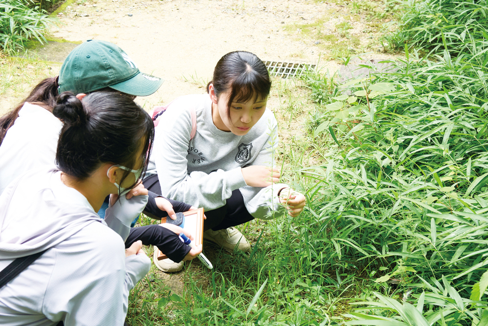 自然を見て、ふれて、感じる体験