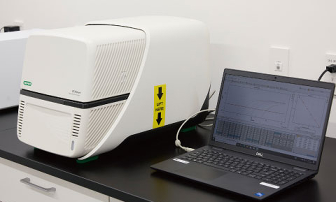 リアルタイムPCR