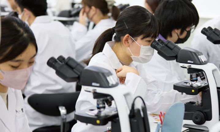 人体の構造を観察から学ぶ