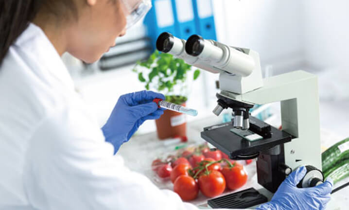 さまざまな機関と協働し、食創造プロジェクトに挑戦