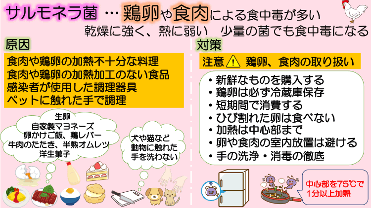 サルモネラ菌による食中毒