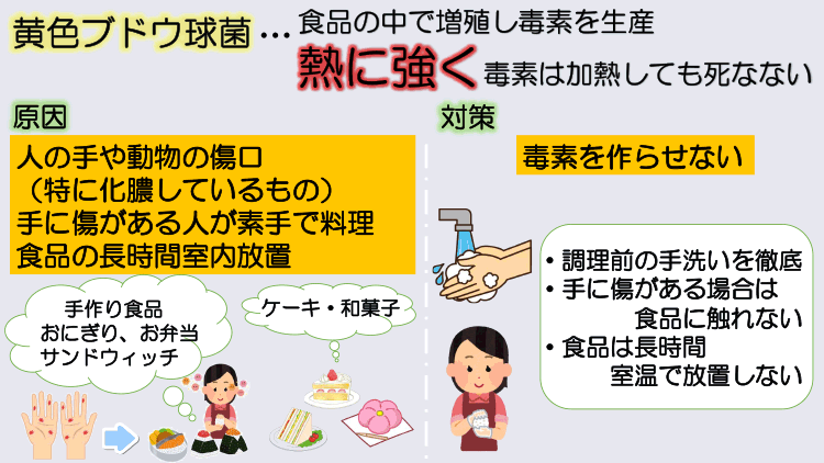 黄色ブドウ球菌による食中毒
