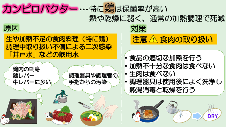 カンピロバクターによる食中毒