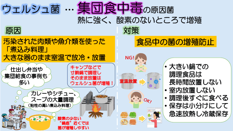 ウェルシュ菌による食中毒