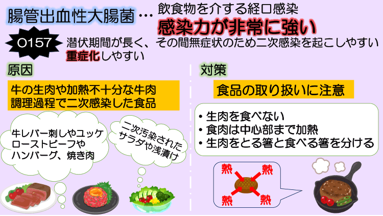 腸管出血性大腸菌による食中毒