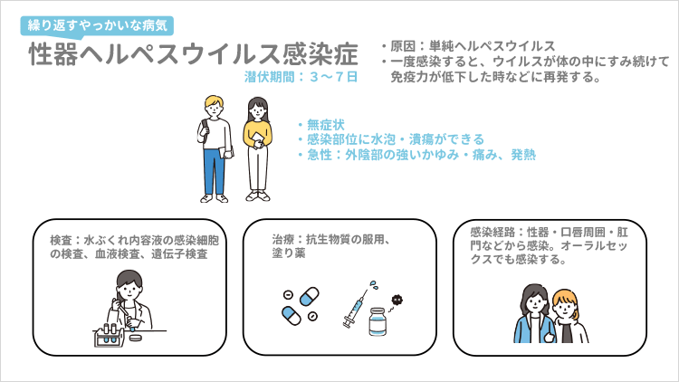 性器ヘルペスについて