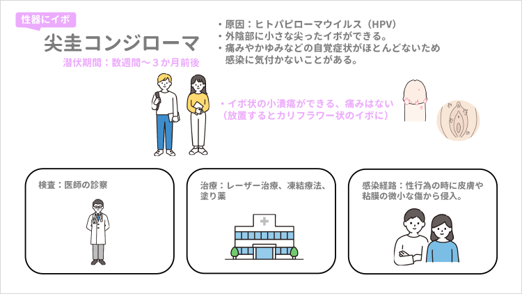 尖圭コンジローマについて