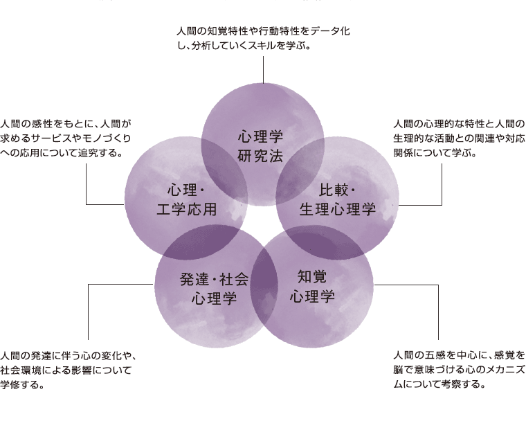 心理情報専修 授業分野