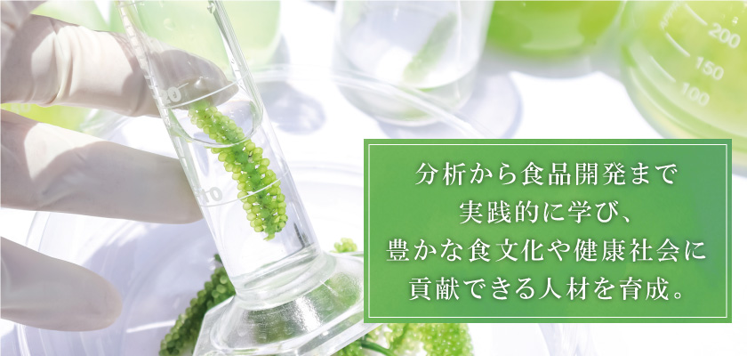 分析から食品開発まで実践的に学び、豊かな食文化や健康社会に貢献できる人材を育成。