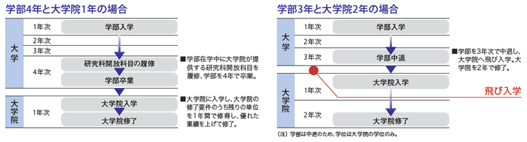 学部大学院5年修了モデル