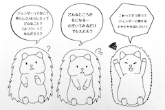 ジェンダー研究会 Coalook