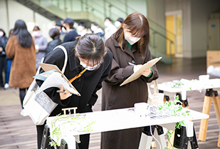 創造表現学部 メディアプロデュース専攻 阿部ゼミ   卒業制作展「ちるあす」