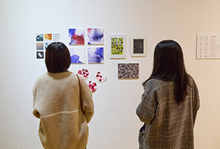 創造表現学部 坂倉ゼミ 卒業制作展「展P」 