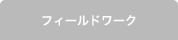 フィールドワーク