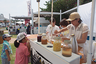 篠島フェス2017「iLAND marche（アイランドマルシェ）」