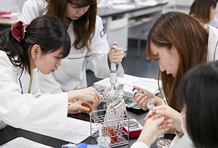 授業風景 健康栄養学科 栄養学実習「エネルギー消費量の測定」「尿中クレアチニンの定量」