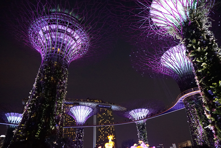 交流文化学部　観光分野特別企画「トラベル・フォト・コンテスト」投票結果