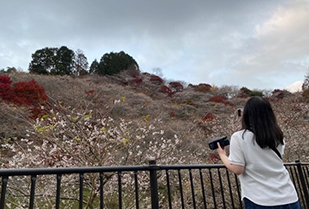 創造表現学部 メディアプロデュース専攻　富樫ゼミ　動画で伝えるオンライン旅行体験のビジネストライアル