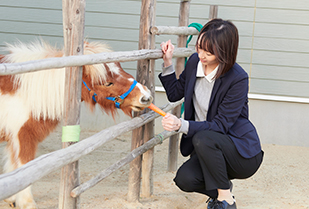 目の前のことに真摯に向き合い、成長し続けることで、臨床心理士として患者様を支えていきたい。