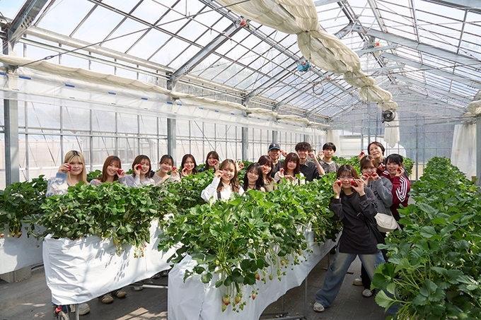 メディアプロデュース専攻 宮田ゼミ「演習Ⅰb」愛知の食とデザインプロジェクト 試験場のいちご農園見学会