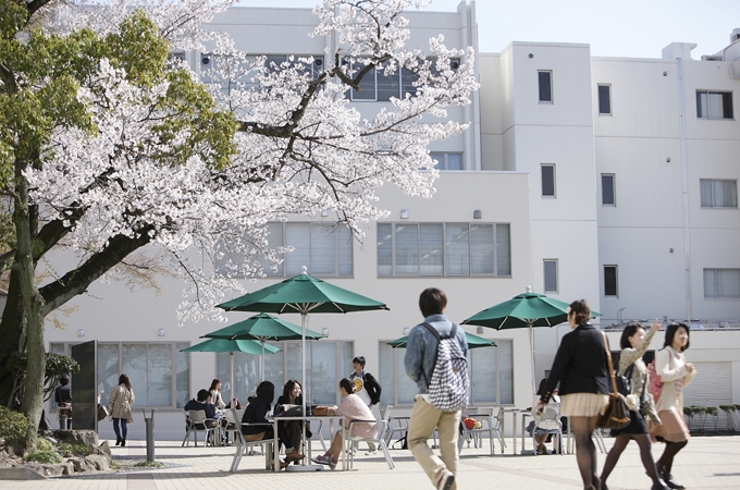 『桜』