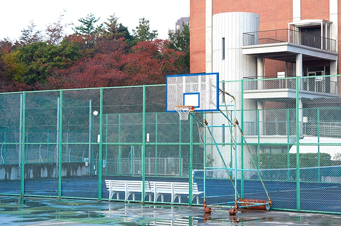 錦秋のキャンパス
