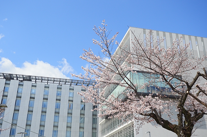 桜咲くキャンパス