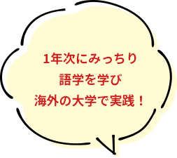 1年次にみっちり語学を学び海外の大学で実践！